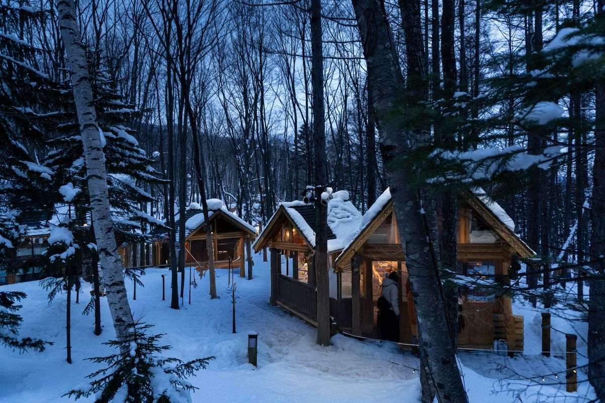 Illuminated wooden cabins in snow-covered forest at night, Ningle Terrace, Furano, Hokkaido, Japan