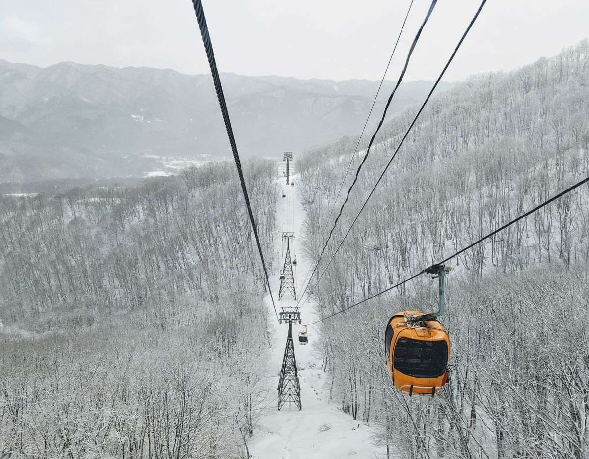 Orange cable car gondola above snow-covered birch forest in Hakuba, Nagano, Japanese Alps