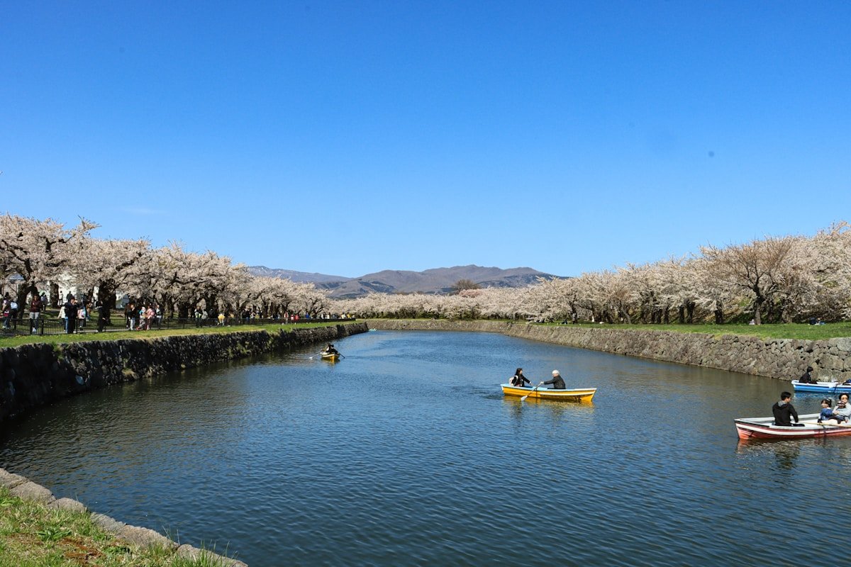 Canal with cherry blossom trees at Goryokaku Park, Hakodate, Hokkaido, Japan