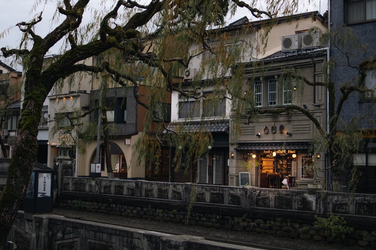 Traditional Japanese buildings lining a canal with willow trees, Kamakura, Japan