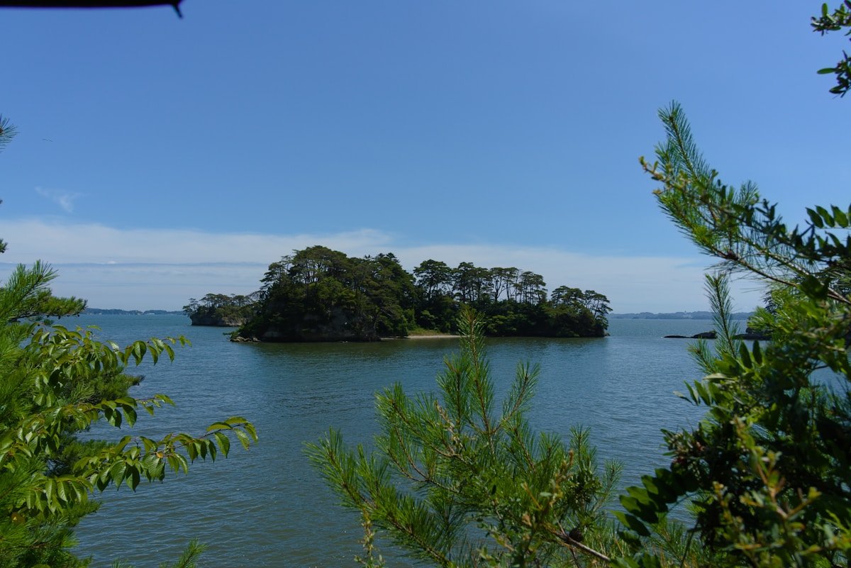 View of a pine island in Matsushima Bay framed by coastal trees, Miyagi Prefecture, Japan