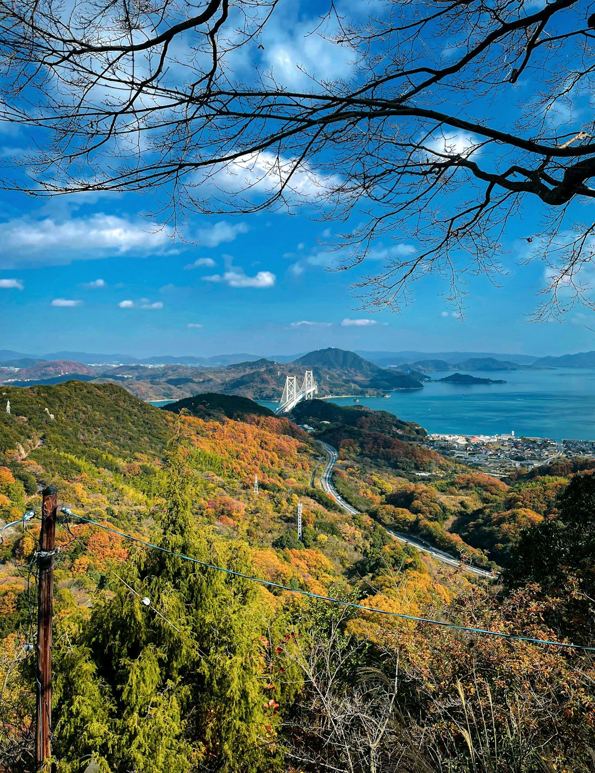 Autumn trees overlook Onomichi bay with a distant suspension bridge, Hiroshima Japan