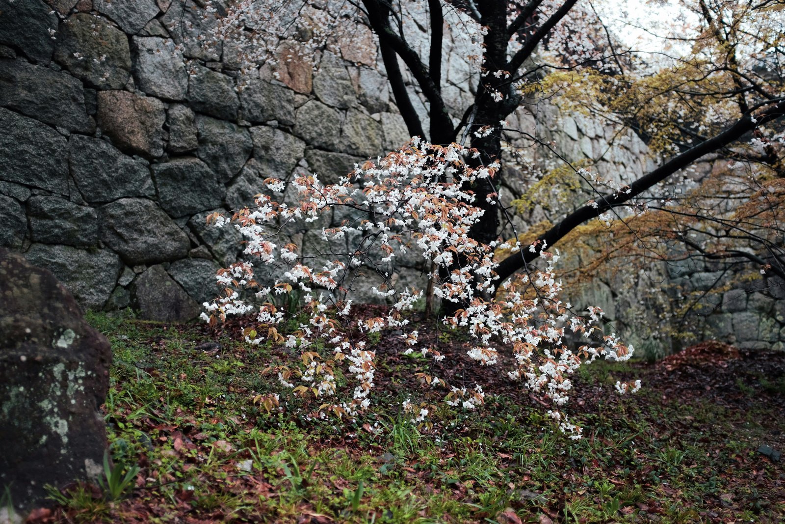 Matsuyama, Japan