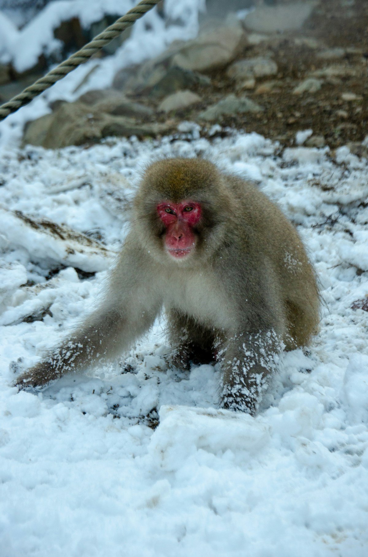 Nagano, Japan