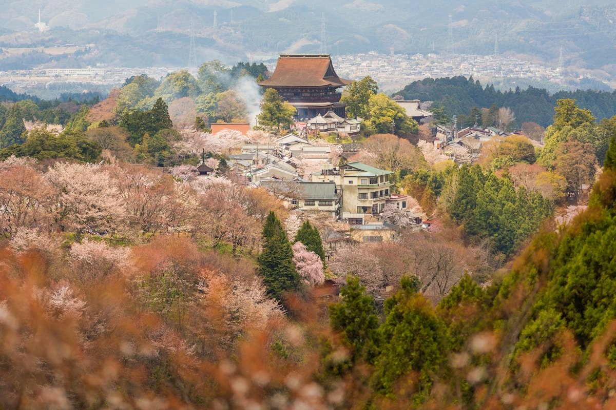 Cherry blossoms surrounding a hilltop temple in Yoshino, Nara Prefecture, Japan