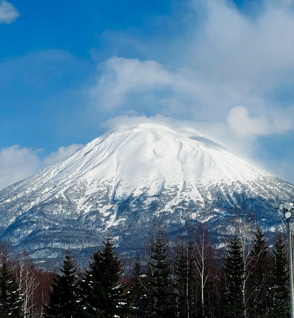 Snow covered mountain with trees in foreground — Niseko ski resort, Hokkaido Japan
