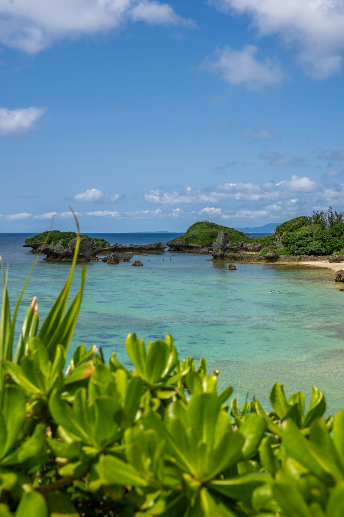 Turquoise lagoon and tropical vegetation on the coast of Okinawa, Japan