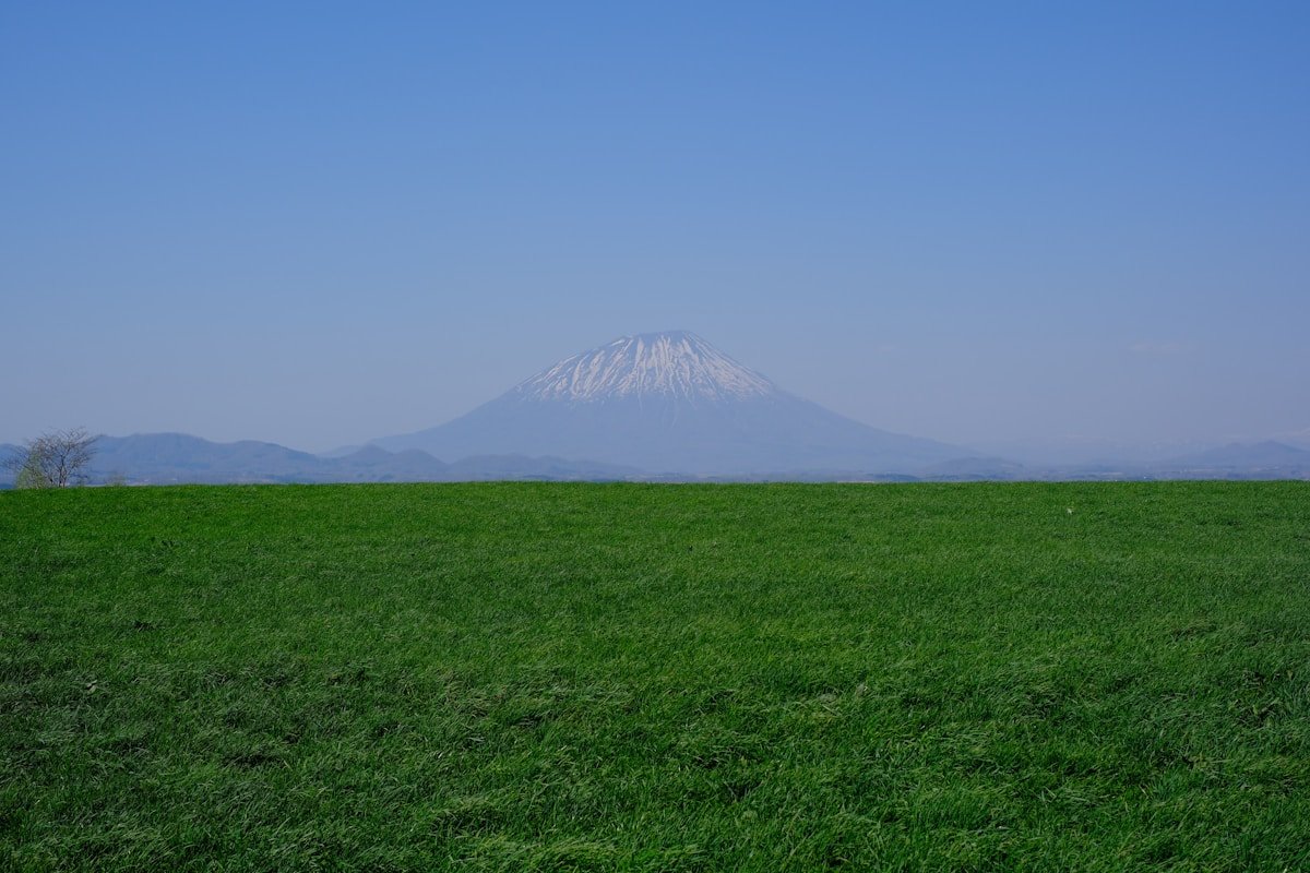 Snow-covered Hokkaido landscape — winter day trips from Sapporo