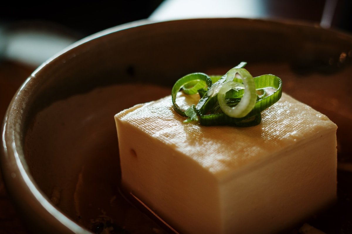 Block of tofu at Okabeya near Kiyomizudera, Kyoto — best restaurants in Kyoto Japan