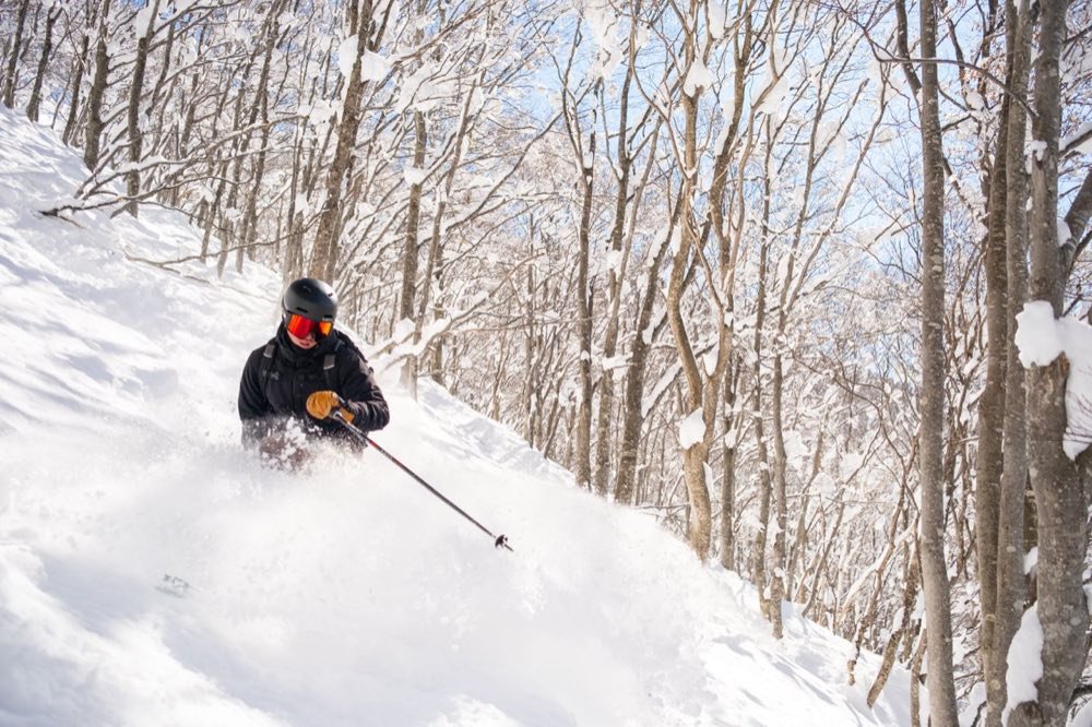 Skier carving through deep powder between bare trees in Japan