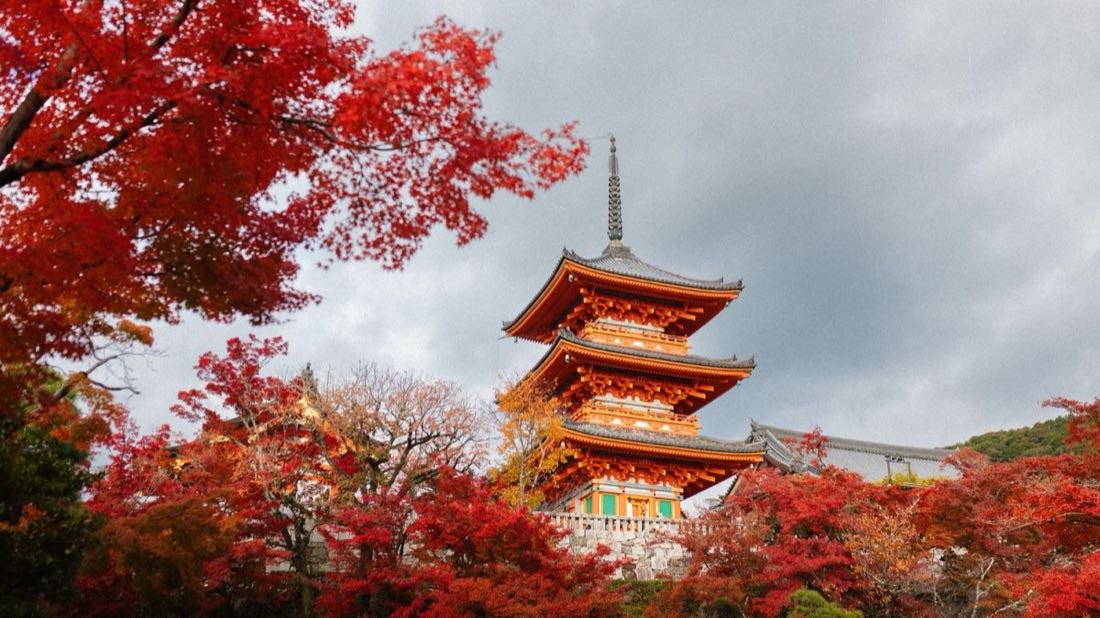 Kiyomizu-dera pagoda framed by red maple leaves in Kyoto