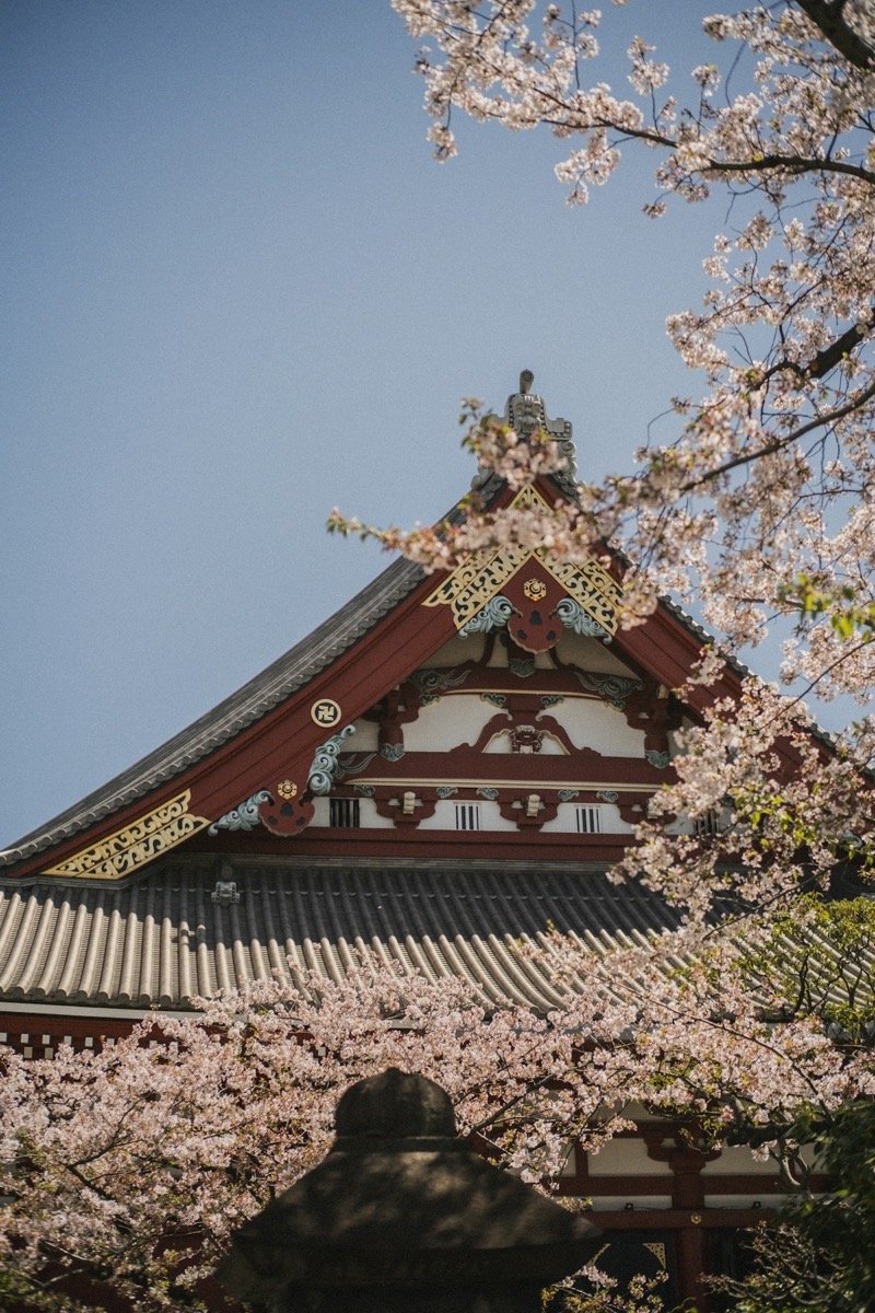 Japan itineraries