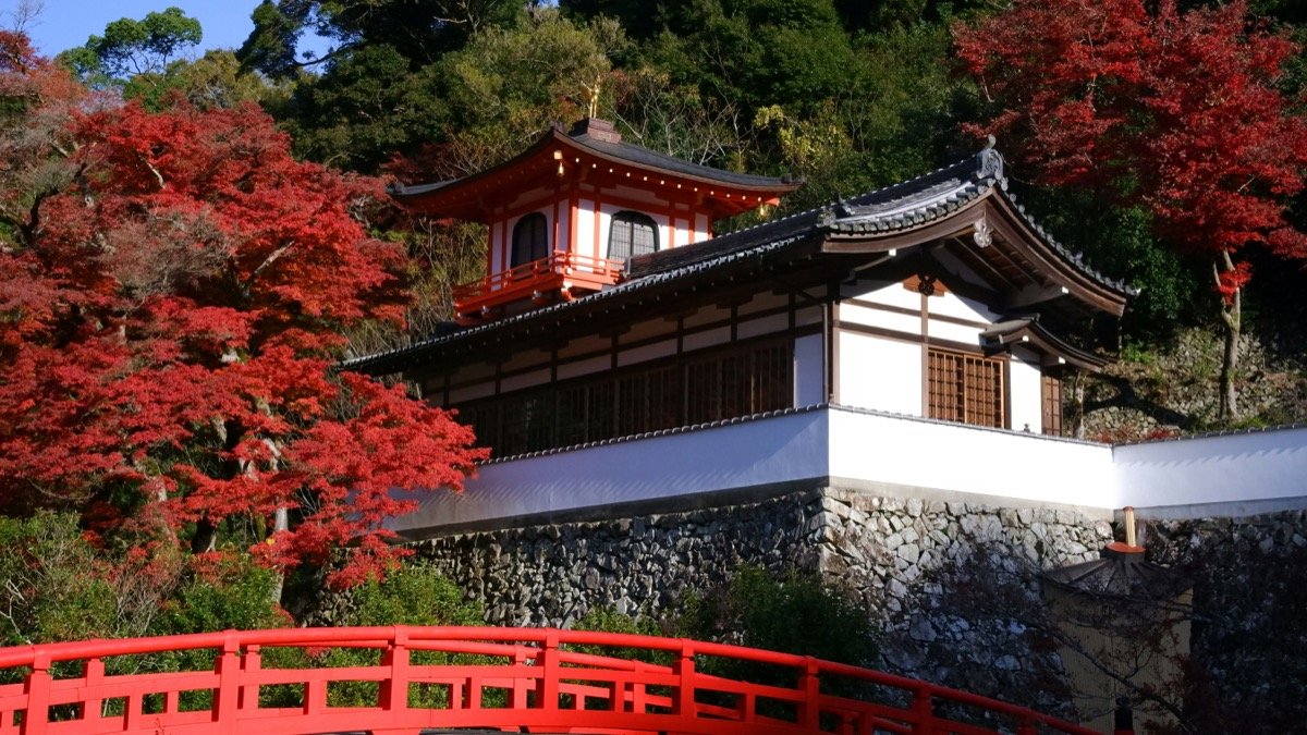 Japanese temple with red bridge surrounded by vivid autumn red maple trees, Osaka