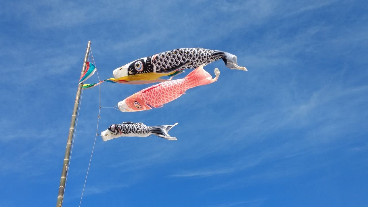 Colourful koinobori carp streamers flying against a blue sky, flown in Japan around Children's Day