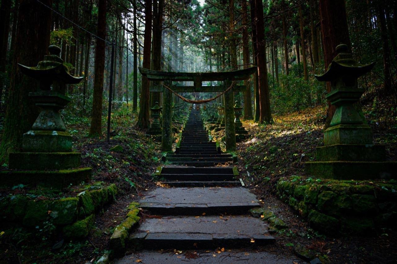 Hidden temple steps through forest, Kyushu Japan - things to do