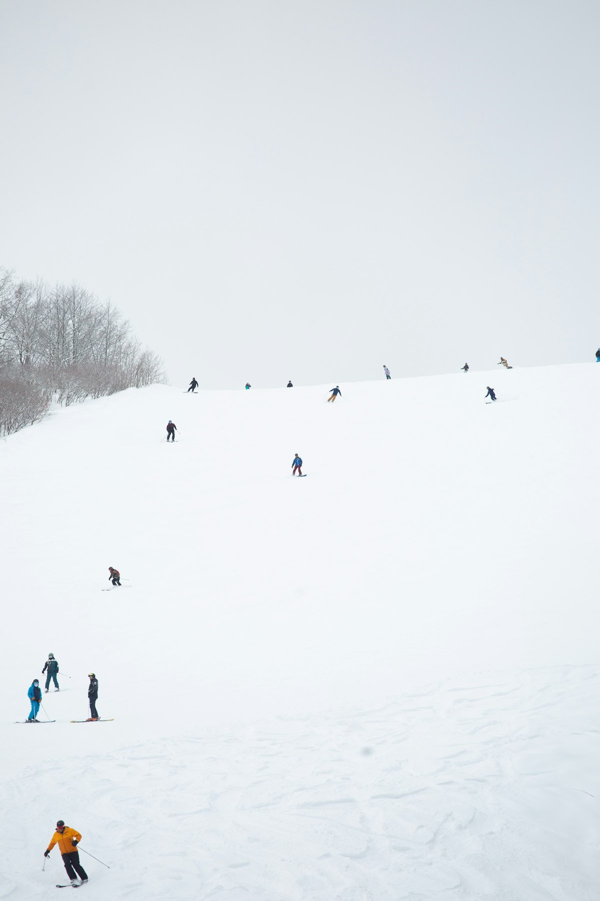 Skiers descending a wide powder-covered slope at Hakuba, Nagano, Japan