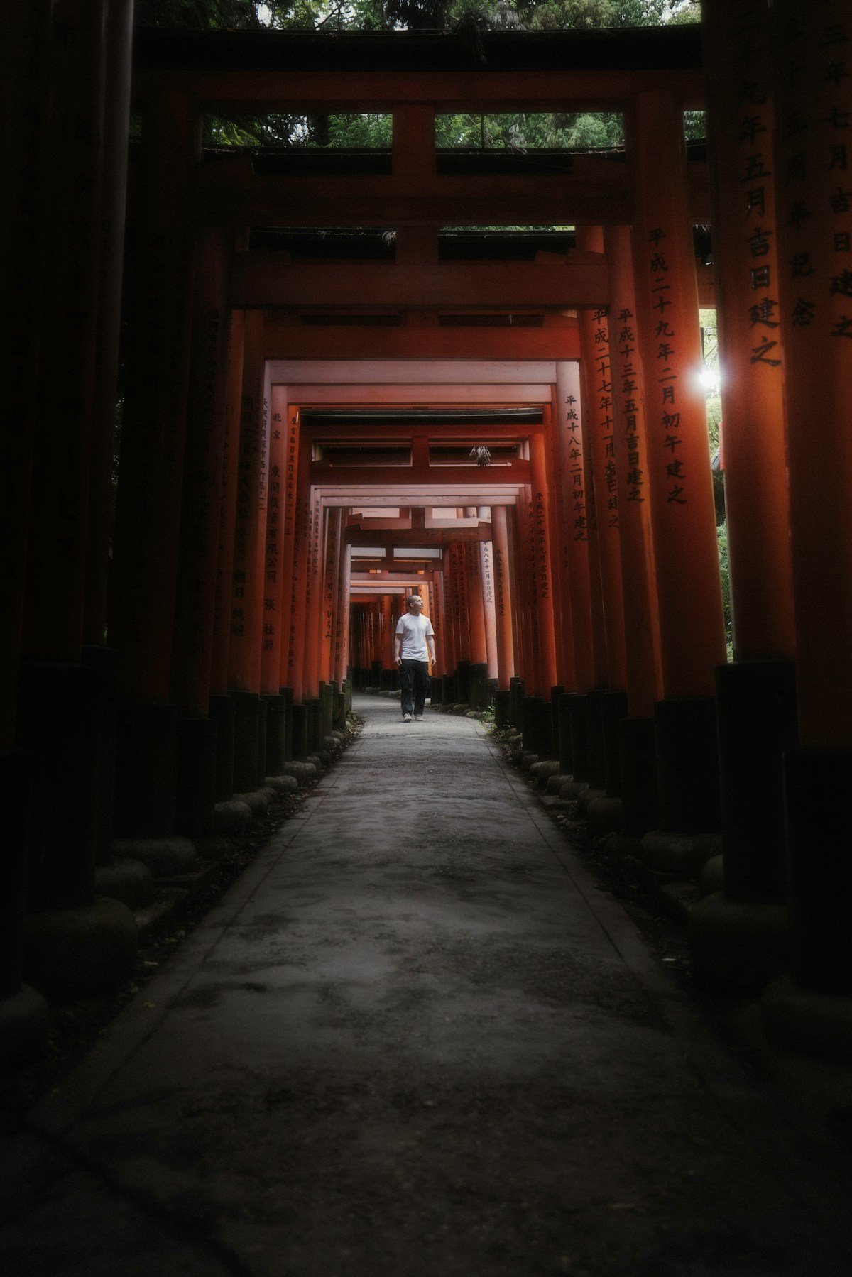 Walking through torii gates at Fushimi Inari shrine — best tours in Kyoto